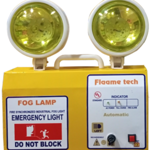 Emergency Exit/Fog Light